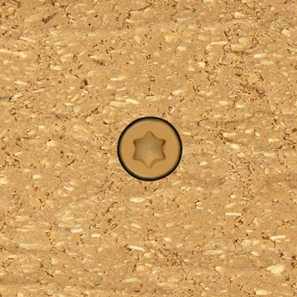 HEADCOTE® SS Fascia Screw 1-5/8" (Painted Head, 100 pcs) for Woodbridge PVC