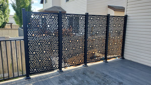 Axxent Privacy Screens